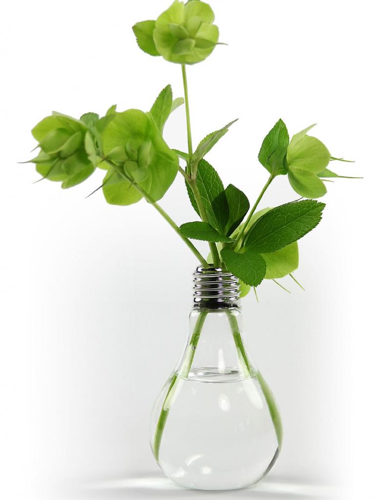 greenbulb - vase in glühlampenform