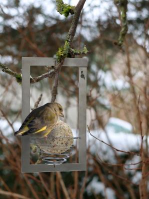 Halter-Meisenknoedel-Square