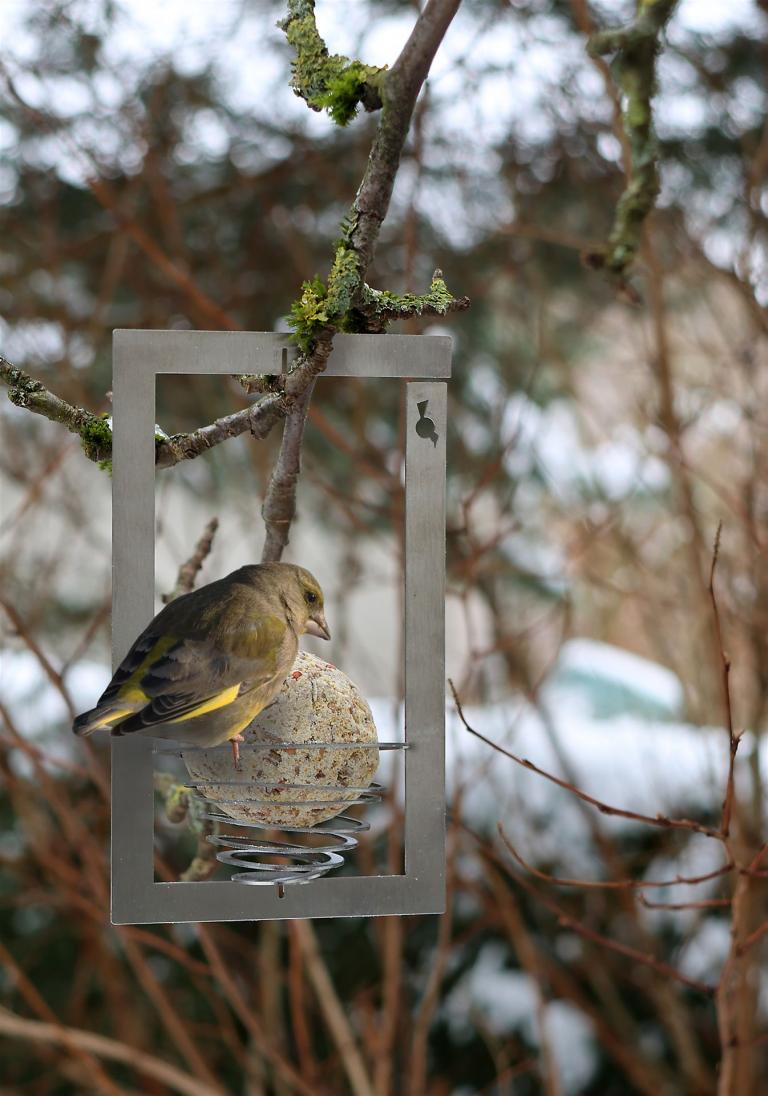 Halter-Meisenknoedel-Square