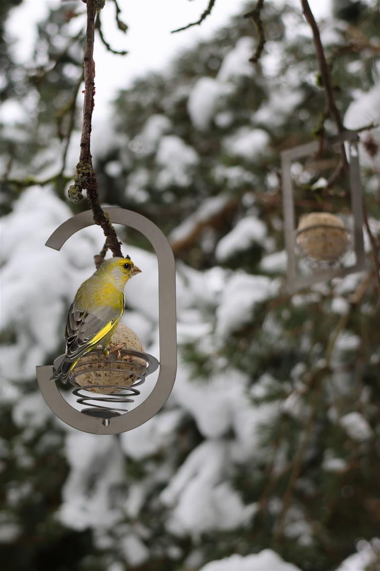 Meisenknoedelhalter-C1