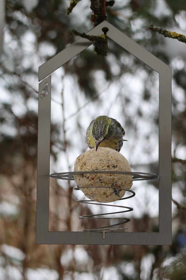 Meisenknoedelhalter-HL