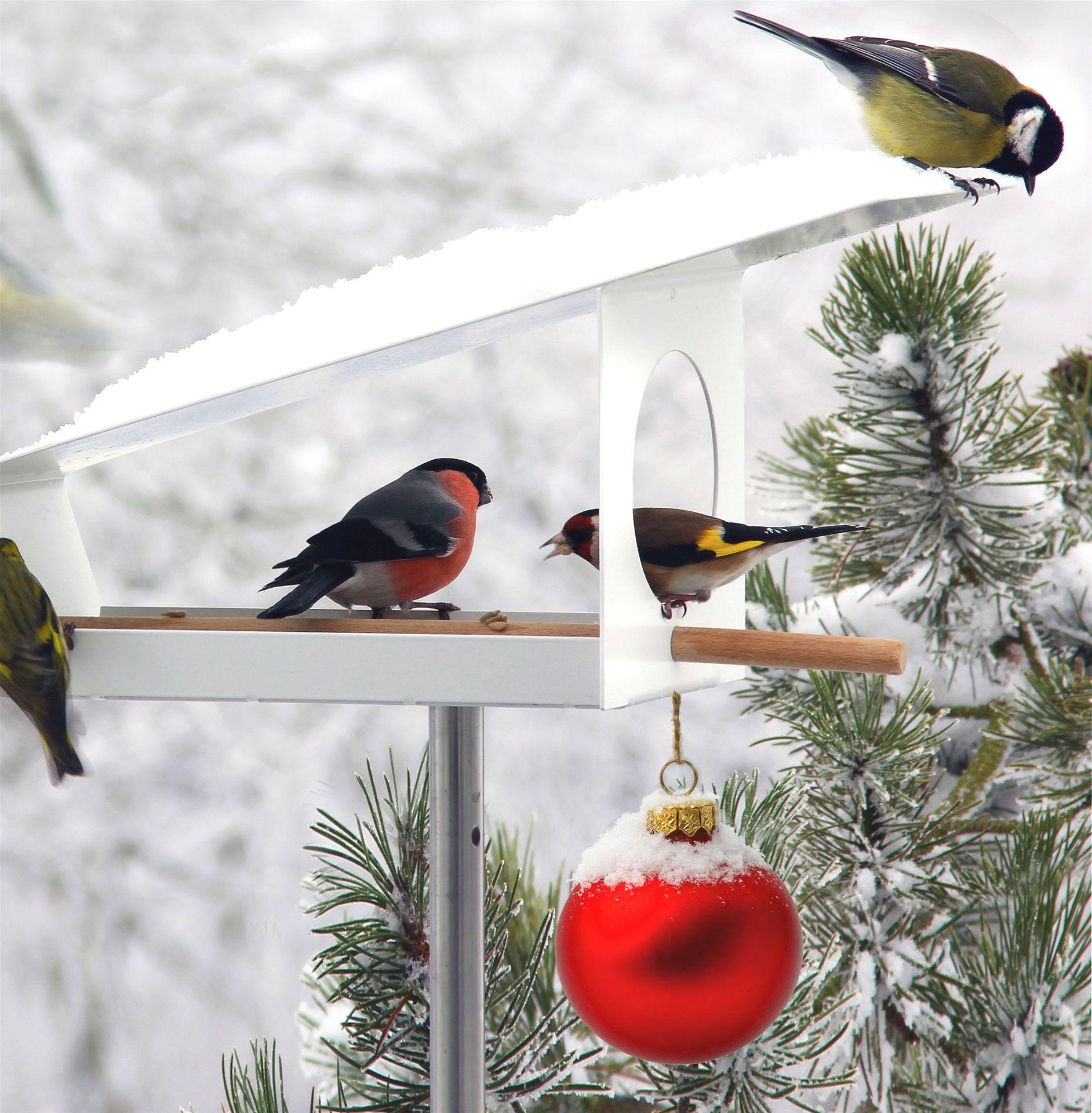 VH-7-W-vogelhaus-xmas