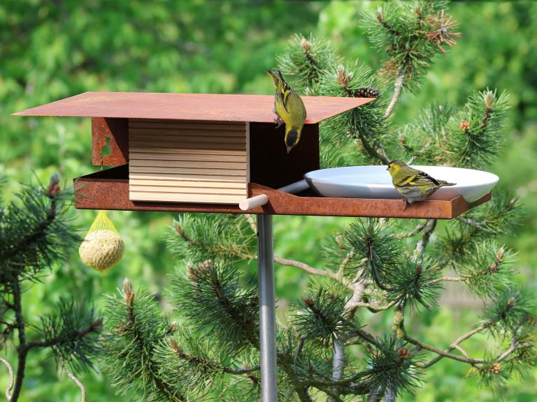 VHT-15-R-Vogelhaus-Cortenstahl