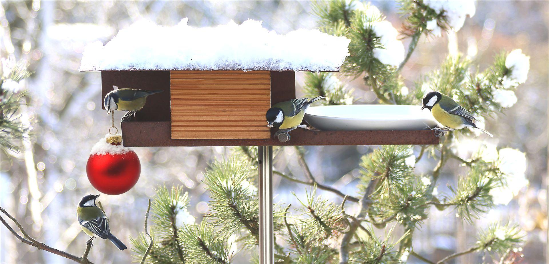 Vogelhaus-Cortenstahl-VHT-15-R-Xmas